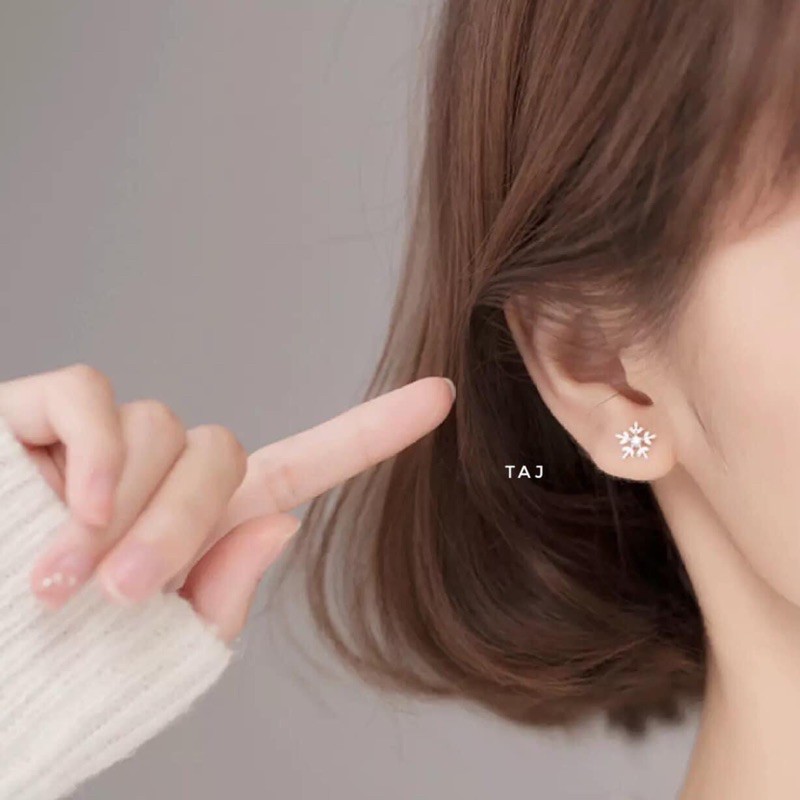 Bông tuyết bạc ta