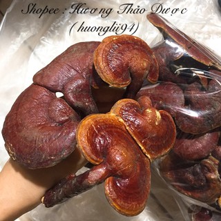 100g Nấm Lim Xanh ( khô )