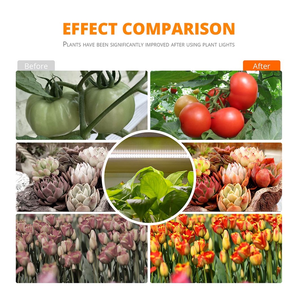 Đèn LED Kích Thích Tăng Trưởng Cho Cây Trồng Trong Nhà Chất Lượng Cao