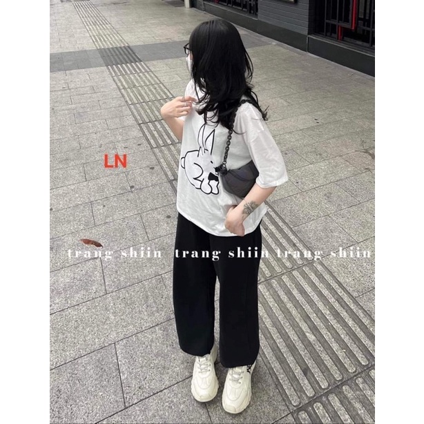 Sét áo phông thỏ + quần ống rộng dài HARI