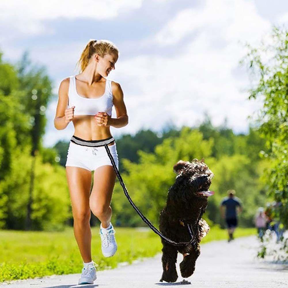 JARRED Dây Dắt Thú Cưng Đi Dạo Phản Quang Tiện Dụng