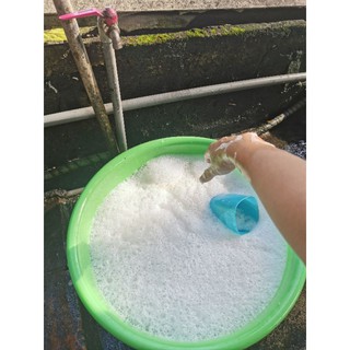 Sữa Tắm Thảo Mộc Cho Cả Người lớn và Trẻ Em