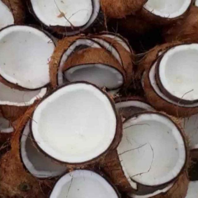 Dầu dừa nhà làm, hợp vệ sinh ạ. Khách đặt nhà mình làm liền nên chất lượng trên cả tuyệt vời luôn nha khách