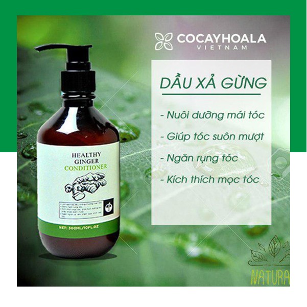 Dầu xả tóc 🍀FREESHIP🍀 Dầu Xả Gừng Tươi Dưỡng Tóc Mềm Mượt Cocayhoala 300ml[dau xa]