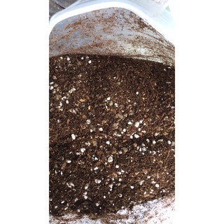 Giá thể trồng sen đá và xương rồng SOIL MIX 15 LÍT