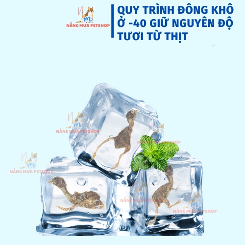 Chim cút sấy khô cho cún mèo, snack cho chó mèo túi 100gr