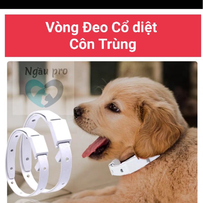 Vòng Cổ Chống RẬN VE BỌ CHÉT chó mèo thú cưng - Vòng cổ phòng diệt ký sinh trùng trên da chó mèo