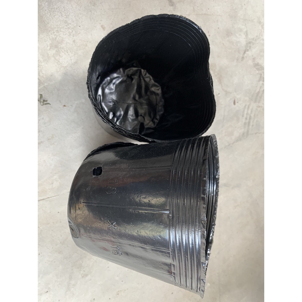 BẦU ƯƠM CÂY 18*16 ( DỊCH TRUYỀN CHO CÂY, KÍCH RỄ , MẦM CÂY XANH LÁ, LƯỚI CHE NẮNG...)