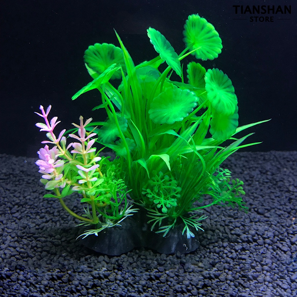Cỏ nhân tạo chống phai màu trang trí bể cá sinh động tự nhiên