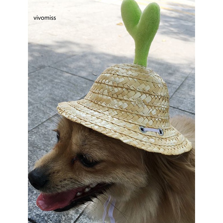 Nón Rơm Đan Kèm Dây Đeo Có Thể Điều Chỉnh Dành Cho Cún Cưng