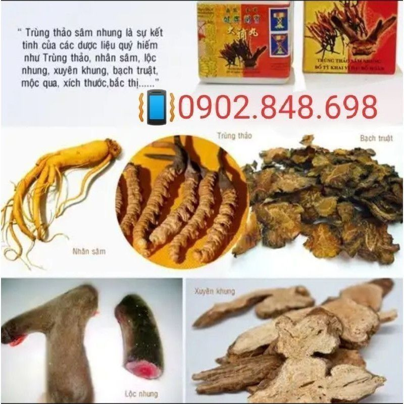 Trùng thảo sâm nhung (kèm viên đen) Tăng cân cho người gầy | BigBuy360 - bigbuy360.vn