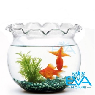 Hồ Cá Bể Cá Thuỷ Tinh Miệng Bèo B2 24 x 21  Cm Tặng Kèm Sỏi Và Rong Trang Trí