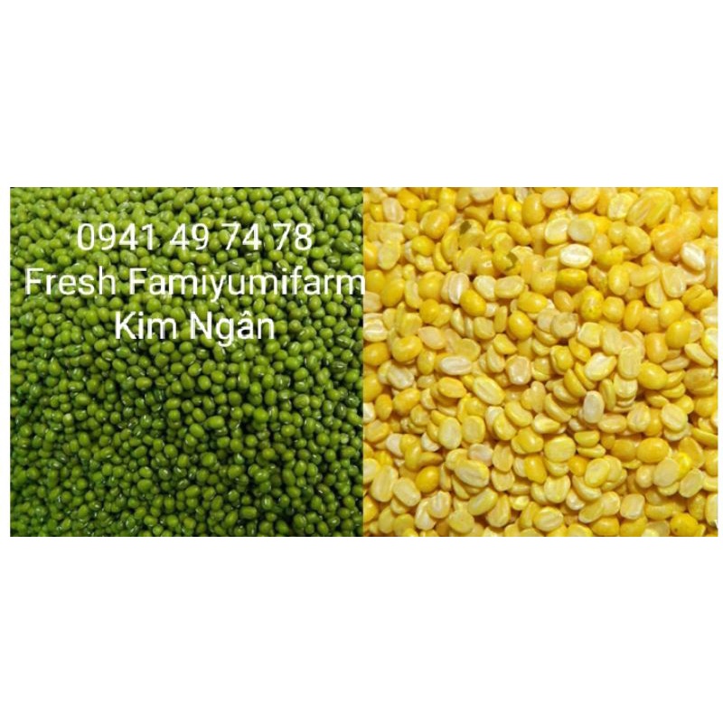 Đậu xanh cà tách vỏ không tẩm màu 100g