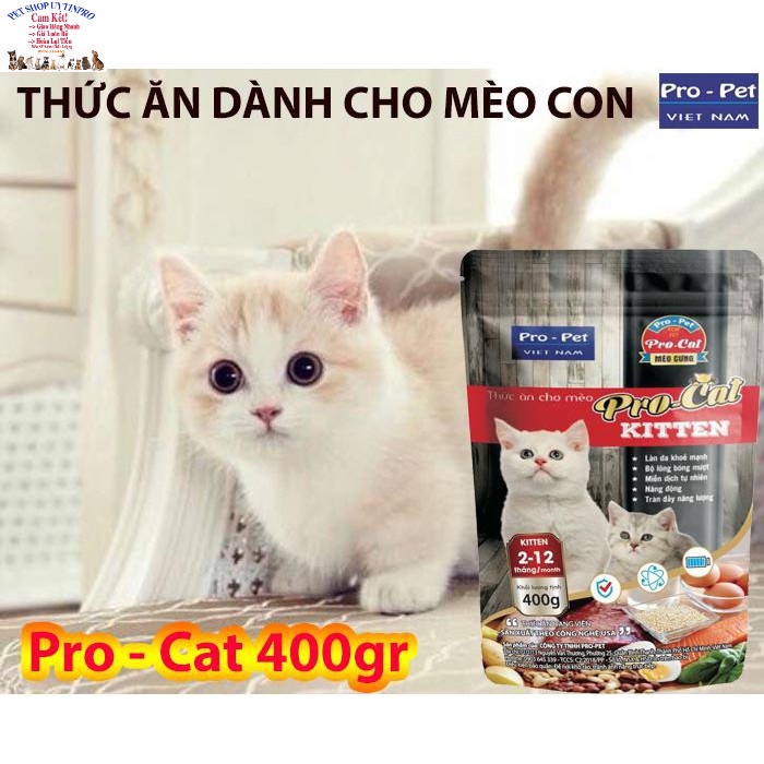 3 Gói Thức ăn hạt cho Mèo con PRO-CAT KITTEN Gói 400g Xuất xứ Pro-Pet Việt Nam Bổ sung dinh dưỡng hoàn chỉnh cho Mèo