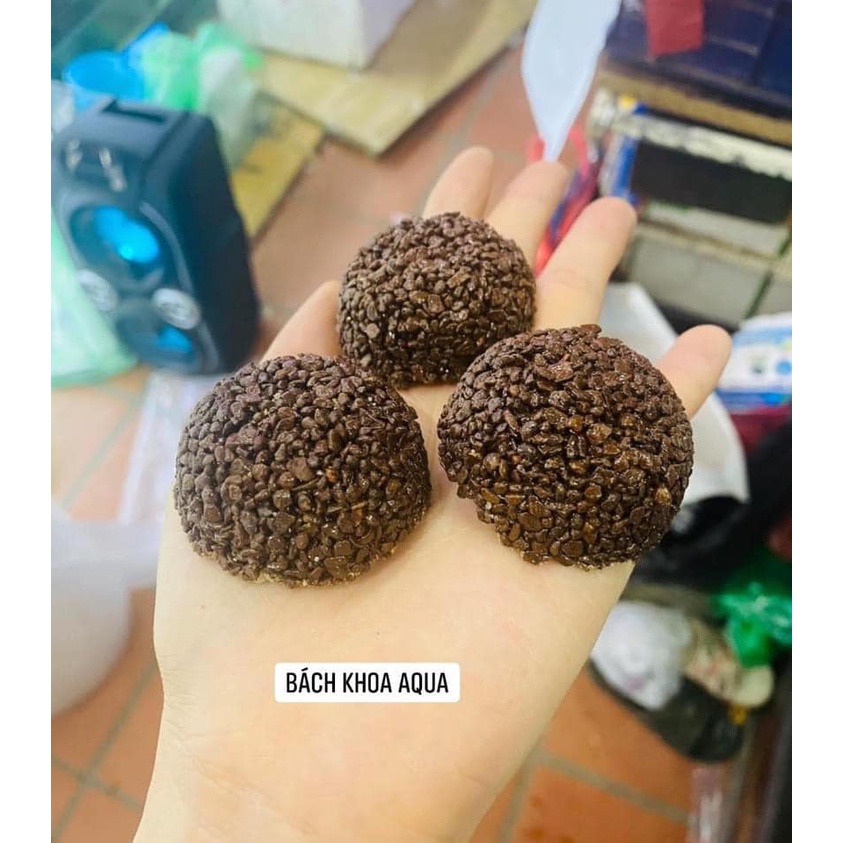 Giá thể cầu nham thạch 6cm