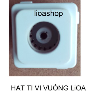 HẠT THÔNG TIN VUÔNG LiOA.