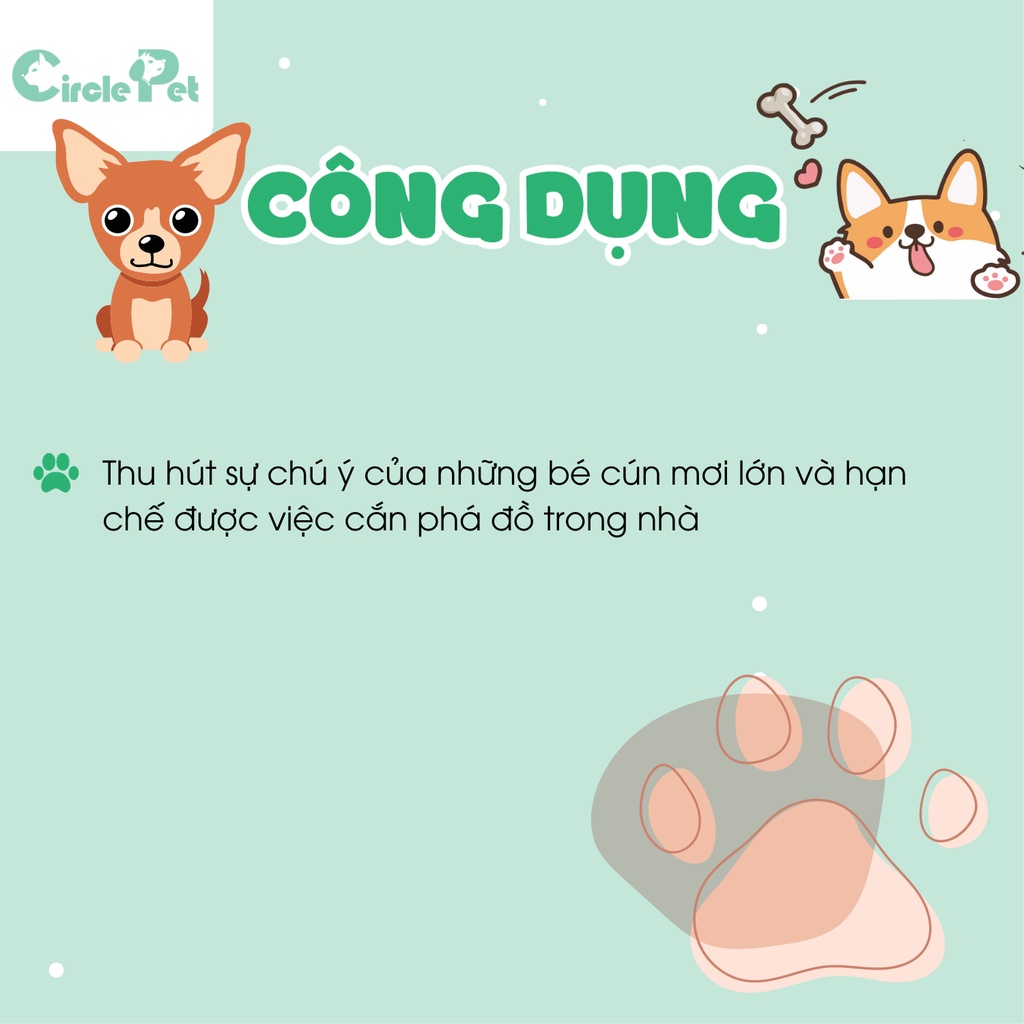 Đồ Chơi Pian Pian Hình Trái Banh Bằng Cao Su Cho Chó An Toàn Siêu Bền - Circle Pet