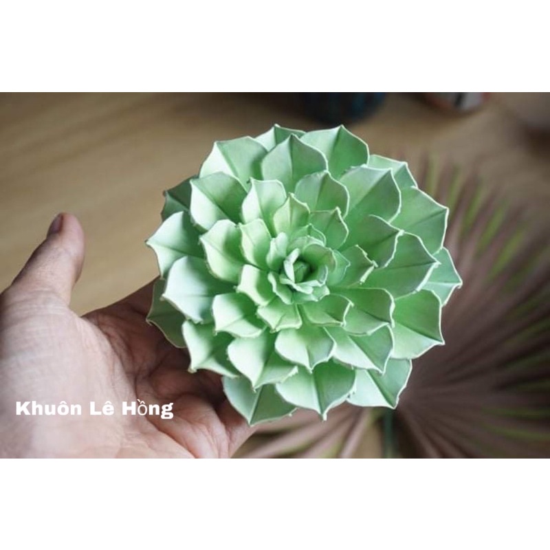 Khuôn làm hoa sen đá size hoa 11 cm