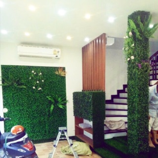 THẢM CỎ LIVETREAM CẢI XOONG KT40.60cm CỎ NHÂN TẠO, CỎ NHỰA