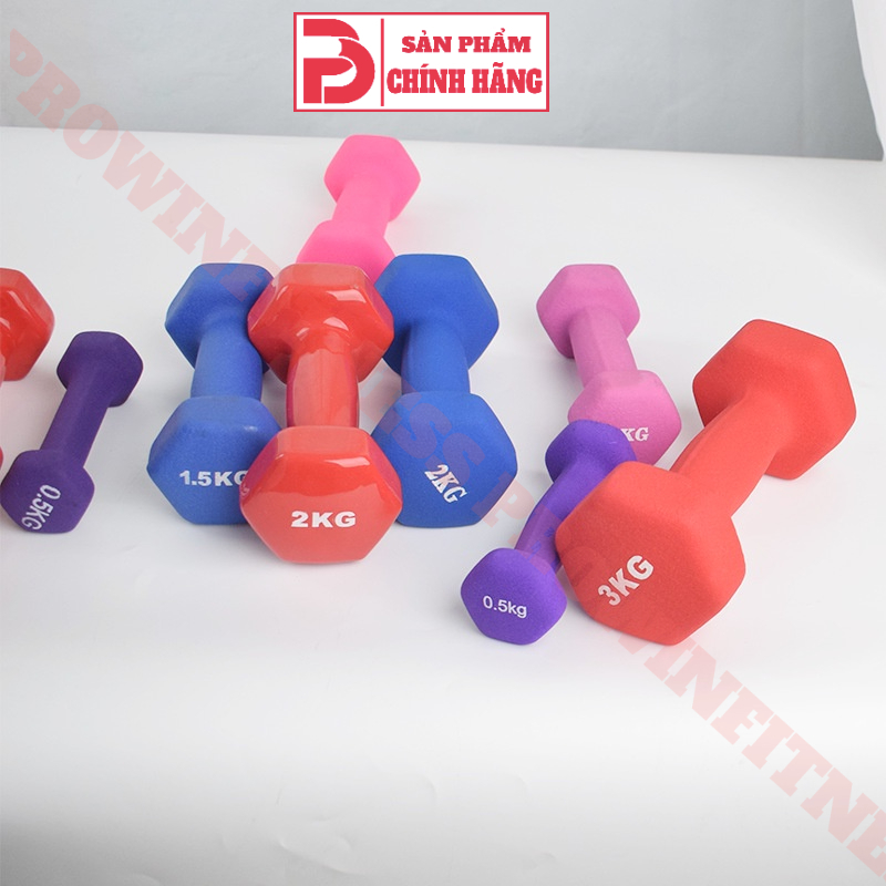 Tạ cầm tay lõi thép bọc cao su Prowin Fitness cao cấp chuyên dụng tập gym yoga 1-3kg