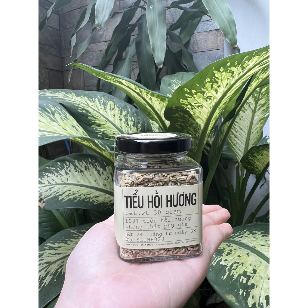 Tiểu Hồi SALA SPICE Fennel Seed , hạt tiểu hồi Ấn Độ tao mùi thơm cho món ăn dùng nấu phở,ướp thịt