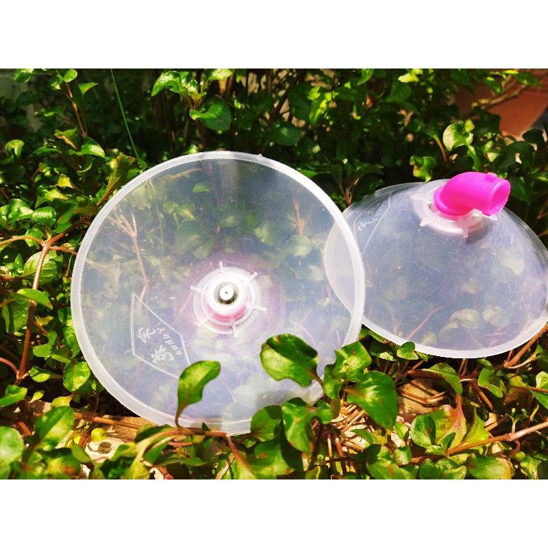 Béc phun thuốc trừ sâu hình nón lá.