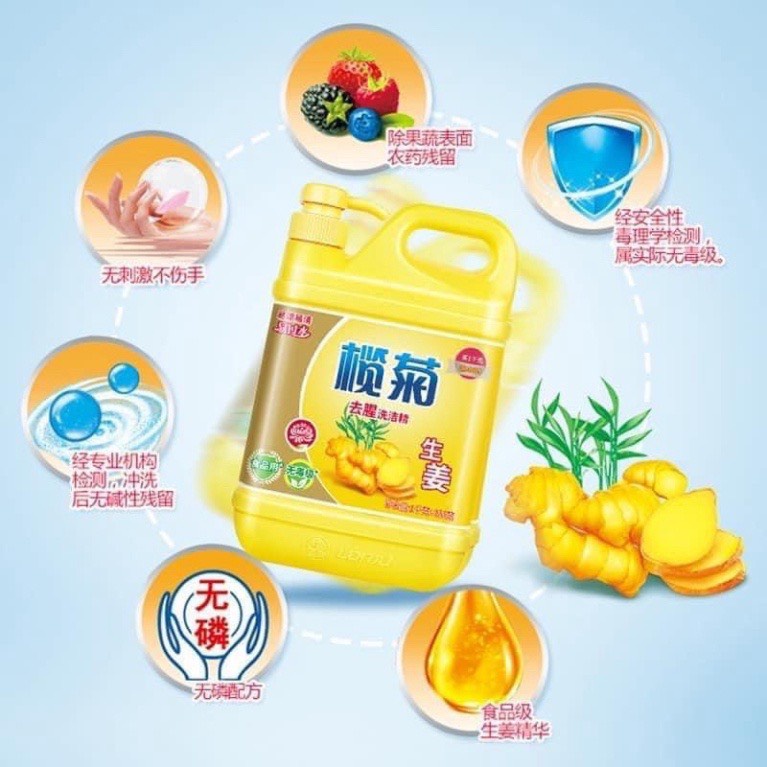 Can nước rửa chén/ rửa bát chiết suất Gừng tươi 1.5L siêu sach, loại bỏ mùi hôi tanh - An toàn cho da tay