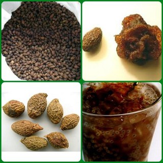 Hạt é sạch loại 1 100gr