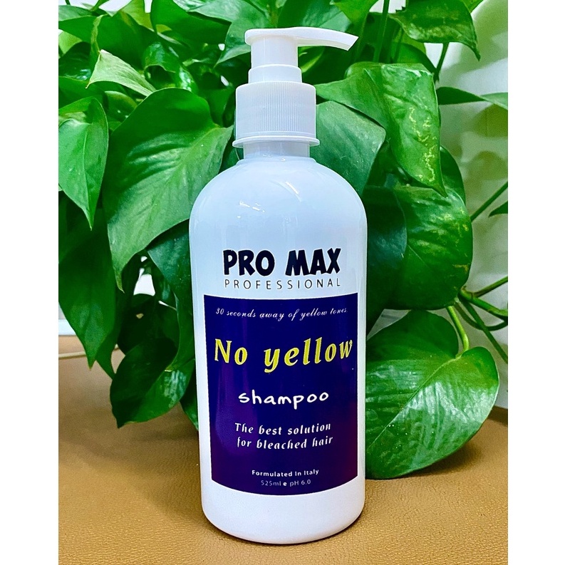 Dầu gội tím Promax, dầu gội khử vàng và giữ màu dành cho tóc tẩy nhuộm màu thời trang | Shop Hair