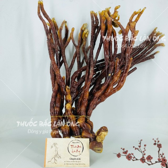 Nấm Linh Chi Sừng Hươu 1kg