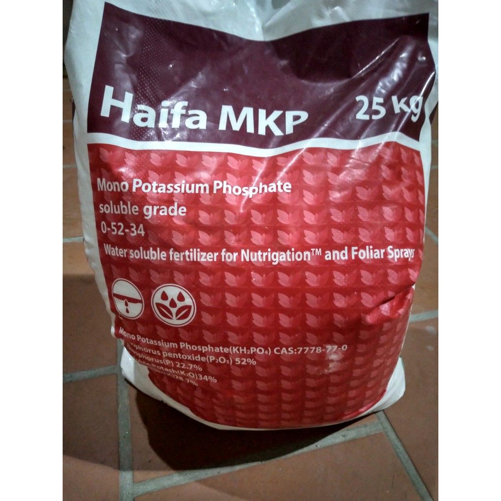 1 kg phân bón MKP Haifa hàng Israel - Kích ra hoa, làm bông, giúp ra hoa đồng loạt, cung cấp kali và lân cho cây trồng