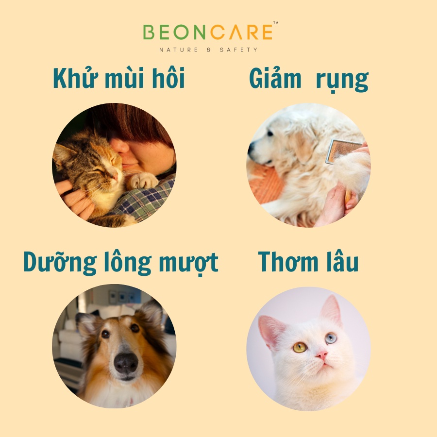 Sữa tắm Khử mùi Dưỡng lông Giảm rụng lông cho chó mèo Beoncare, an toàn cho chó mèo sơ sinh