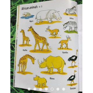 Dính dán - Usborne sticker book - Zoo