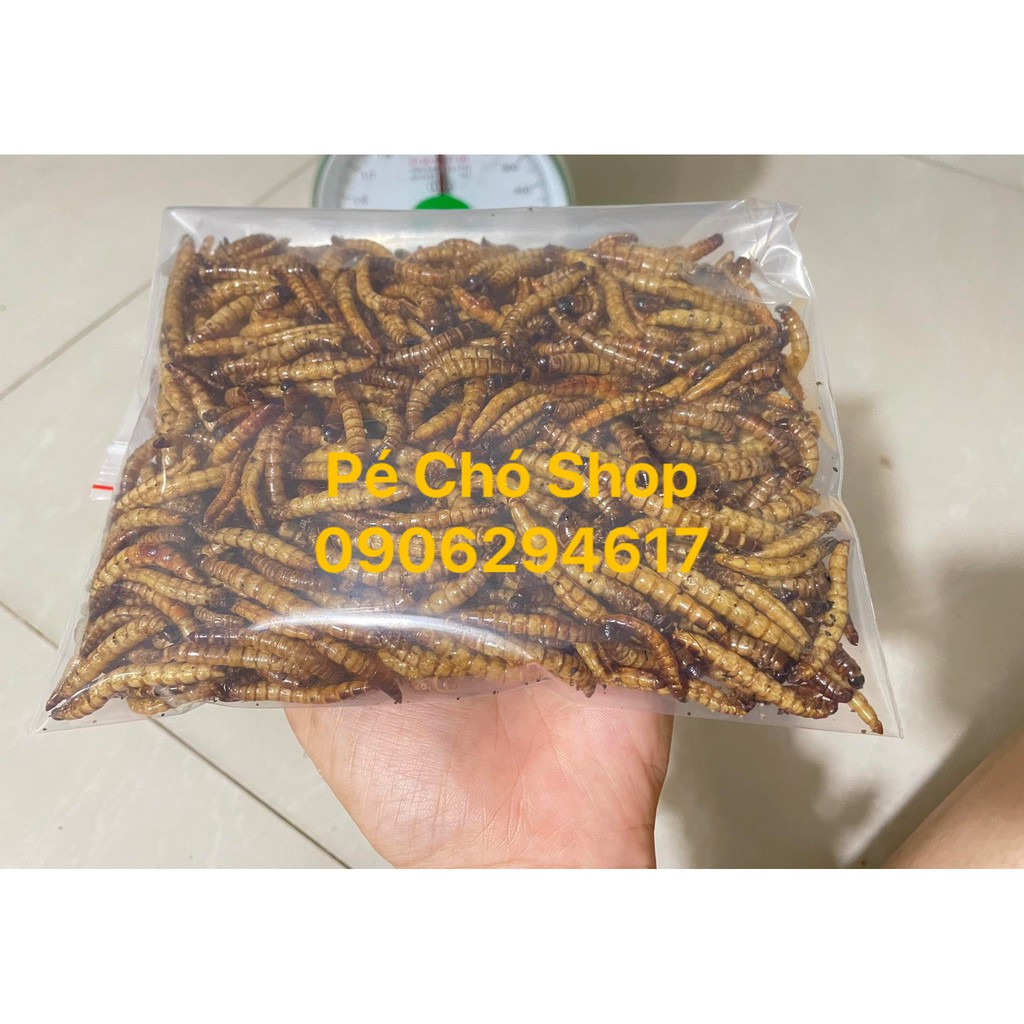 100gram Sâu Supper Worm rang khô tại shop béo thơm cho hamster,nhím,sugar,sóc,rat.