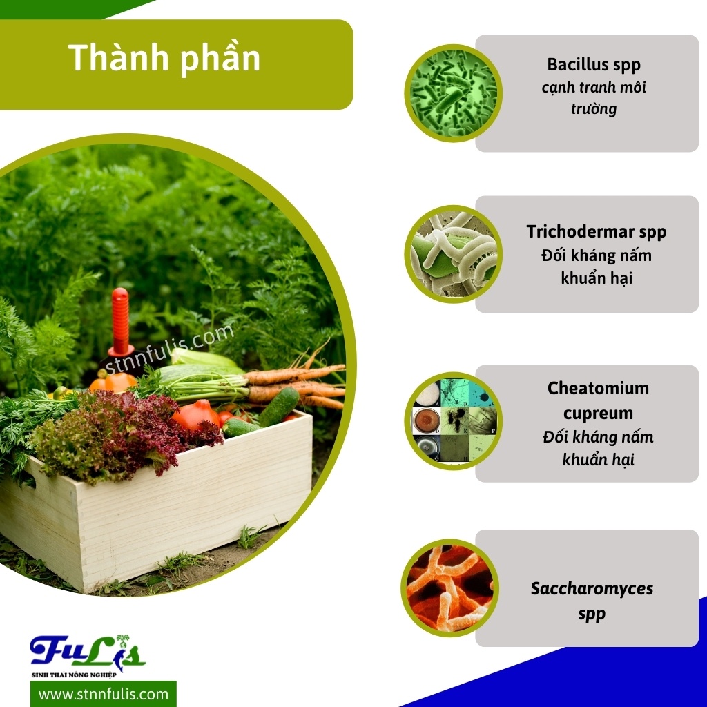 Chế Phẩm Sinh Học Phòng Trị Nấm Khuẩn Hại GHÉT NẤM Cho Hoa Lan, Hồng, Cây Ăn Quả, Rau Màu Chính Hãng Giá Rẻ - stnnfulis