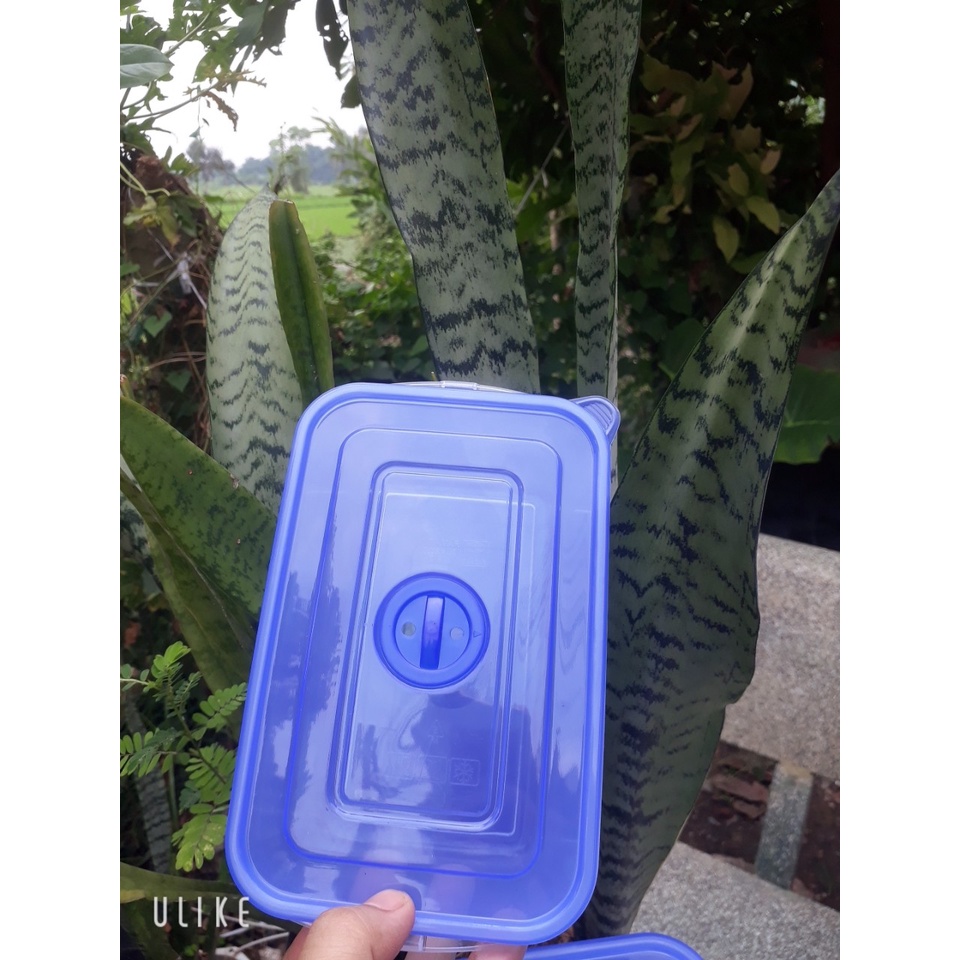 COMBO 5 HỘP NHỰA CHỮ NHẬT 800ML