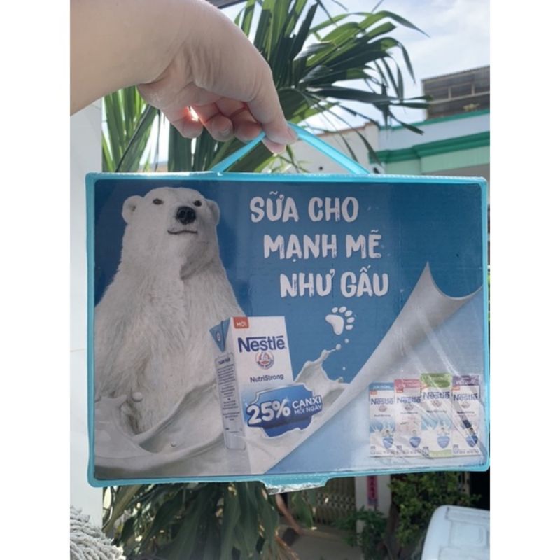 BỘ MÀU NESTLE 54 CHI TIẾT