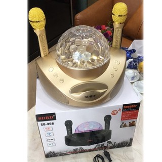 Loa karaoke bluetooth đèn led vũ trường sd 308