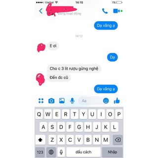 1 lít Cốt gừng nghệ hạ thổ cao cấp