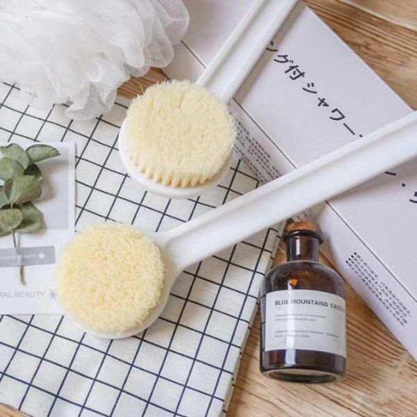 Cọ lưng muji xuất nhật ( kèm hộp )