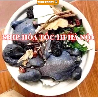 Set 2 con gà ác kèm gia vị thuốc bắc - ship hỏa tốc hn
