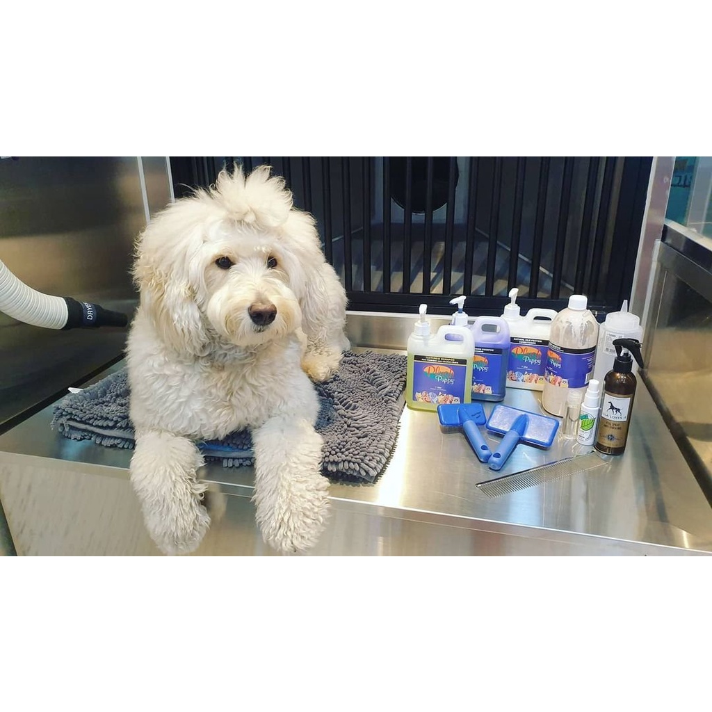 Sữa tắm trắng giữ màu tinh chất sâm cho chó & mèo