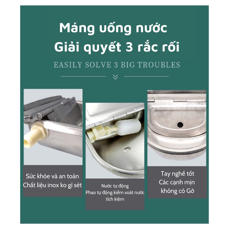 Máng uống nước tự động Dương ninh cho bò gia xúc Inox 304 MU49