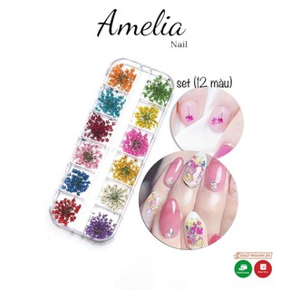 Sét 12 ô hoa khô ẩn gel ẩn bột nail