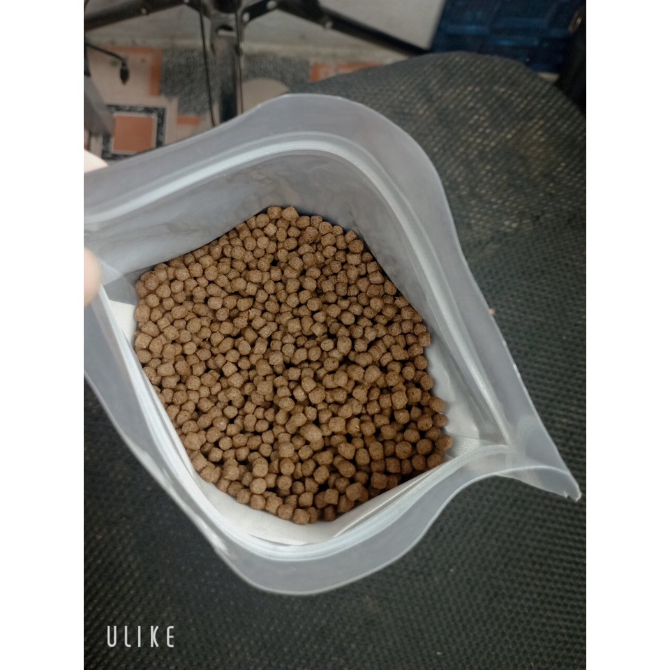 Cám cá Koi túi bạc công nghệ mỹ- tăng size-tăng màu 40% độ đạm