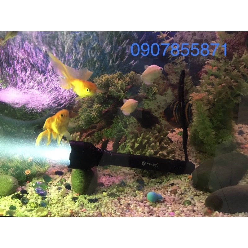 😍 Đèn pin siêu sáng chống nước Mayor Wolf LY S015 - Tặng kèm hộp đựng cao cấp, hàng chính hãng | BigBuy360 - bigbuy360.vn