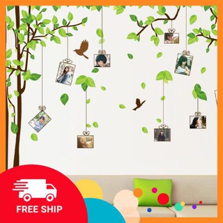 ⚡️𝗙𝗥𝗘𝗘𝗦𝗛𝗜𝗣⚡️ [ Kèm ảnh thật ] Decal dán tường Cây khung ảnh-Cây xanh trang trí nhà cửa