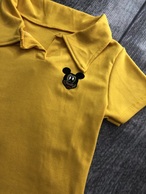 Áo croptop thêu ( hình chụp thật kèm video)