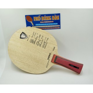 Cốt vợt xiom fuga