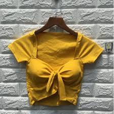 Áo Kiểu Nữ Croptop Visava Thun Borip Ôm body Cổ V Tôn Dáng Phong Cách Hàn Quốc  Mẫu Mới Siêu Thời Trang 2021 | BigBuy360 - bigbuy360.vn